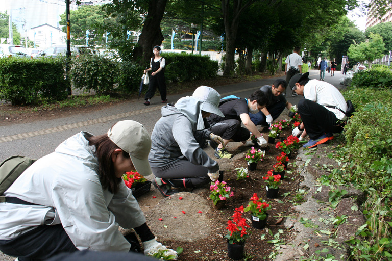 「つくばカピオ」前の花壇の苗上の様子
