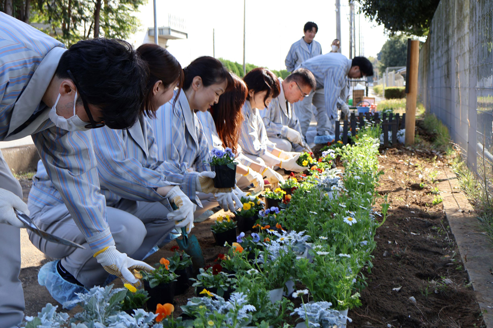 筑波事業所の花苗植えの様子