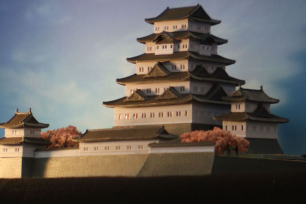 参加者が撮影した写真